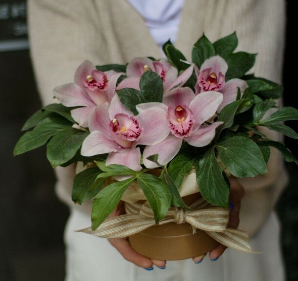 Орхидеи в шляпной коробке, артикул F1121294 - 3200 рублей, доставка по городу. Flawery - доставка цветов