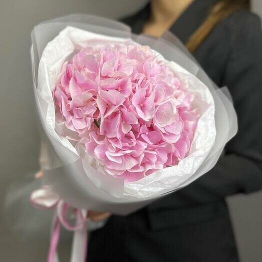 Розовая гортензия в упаковке, артикул F1298019 - 1080 рублей, доставка по городу. Flawery - доставка цветов