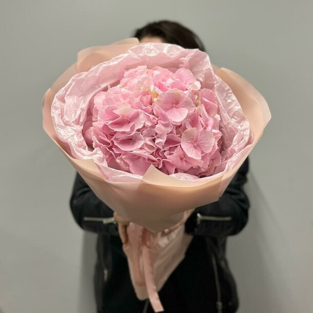 Комплимент из гортензии в упаковке, артикул F1298030 - 1080 рублей, доставка по городу. Flawery - доставка цветов