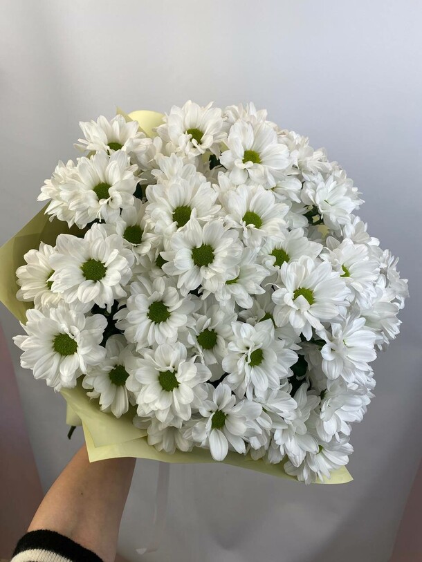 Букет из кустовой хризантемы ромашки, артикул F1298200 - 2290 рублей, доставка по городу. Flawery - доставка цветов