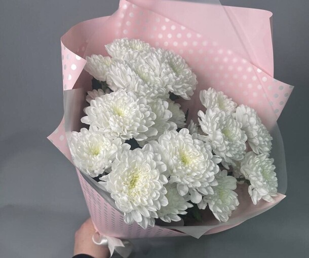 Букет из хризантем, артикул F1416899 - 1290 рублей, доставка по городу. Flawery - доставка цветов