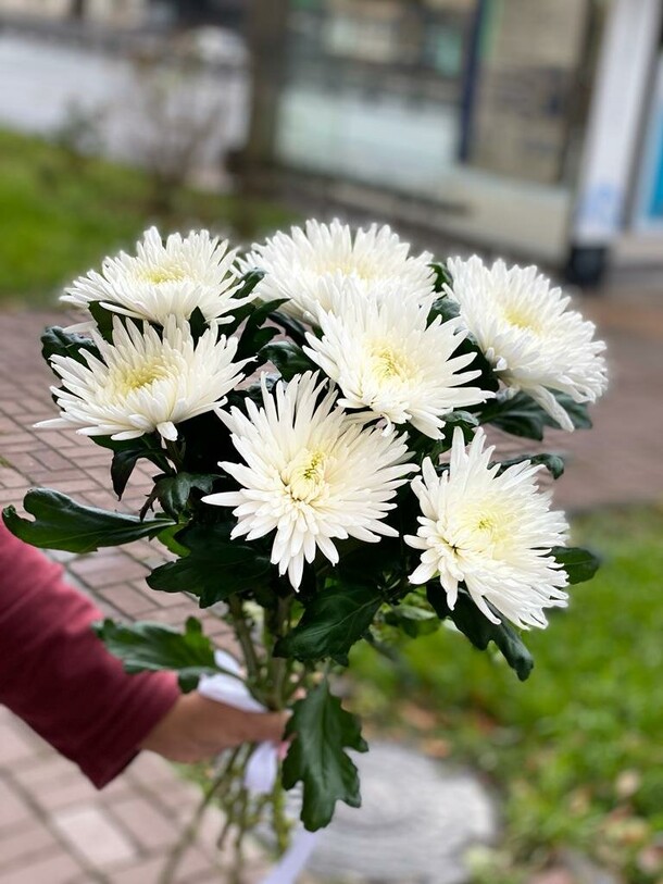 Белое солнце, артикул F1180671 - 6386 рублей, доставка по городу. Flawery - доставка цветов