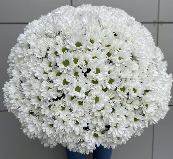 Обличие, артикул F1180829 - 27911 рублей, доставка по городу. Flawery - доставка цветов