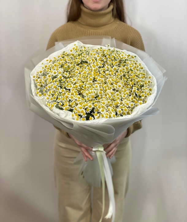 Букет из 51 танацетума, артикул F1190511 - 29812 рублей, доставка по городу. Flawery - доставка цветов