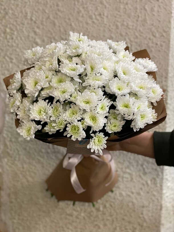 Хризантема в цвету, артикул F1249974 - 9131 рублей, доставка по городу. Flawery - доставка цветов