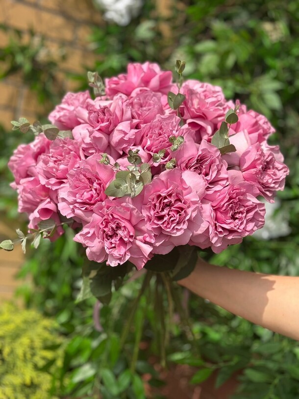 Розовая французская, артикул F1318902 - 26554 рублей, доставка по городу. Flawery - доставка цветов