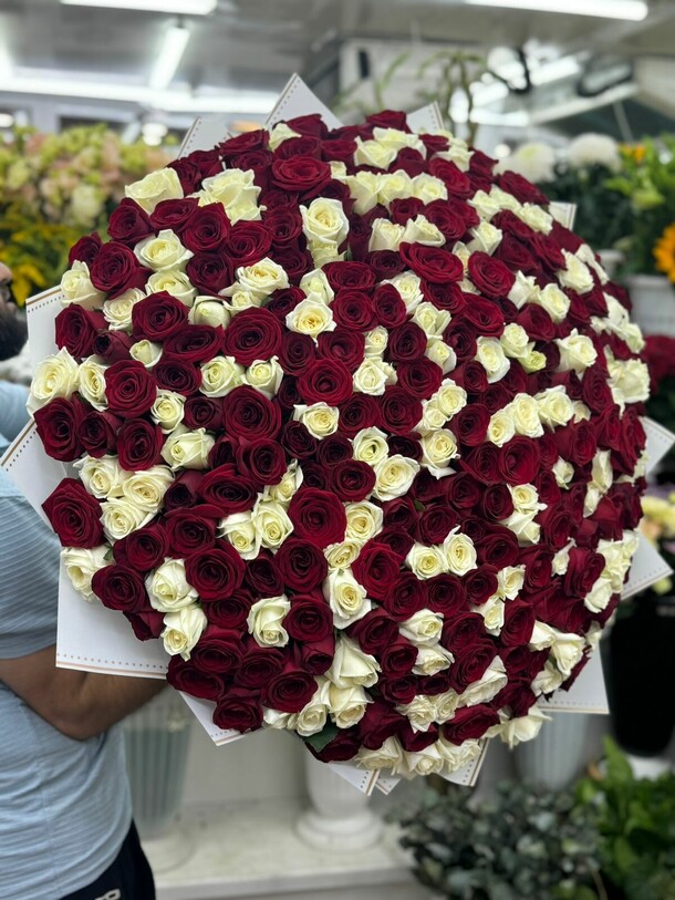 351 белая и красная роза, артикул F1318955 - 118000 рублей, доставка по городу. Flawery - доставка цветов