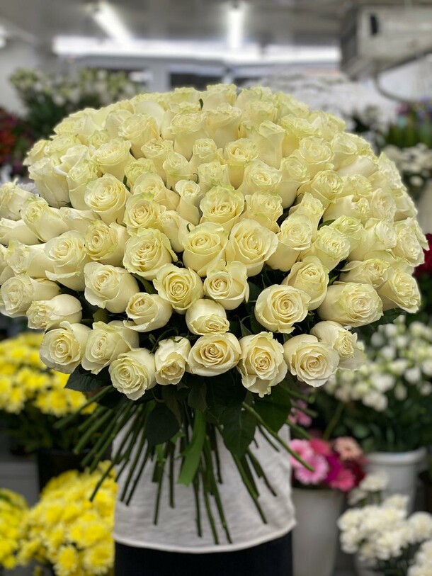 101 роза эквадор, артикул F1318977 - 29600 рублей, доставка по городу. Flawery - доставка цветов