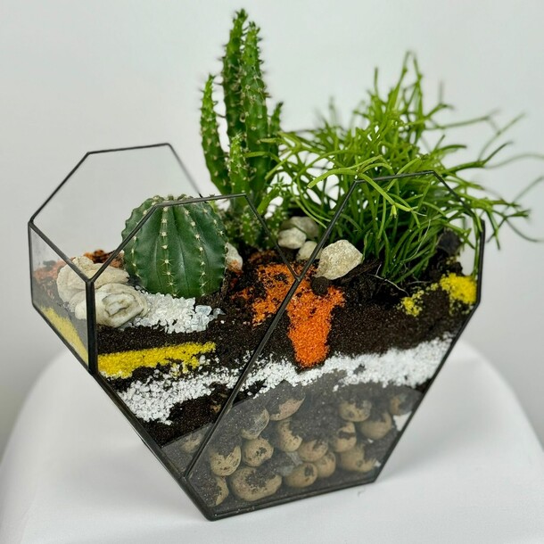 Флорариум, артикул F1335925 - 9900 рублей, доставка по городу. Flawery - доставка цветов