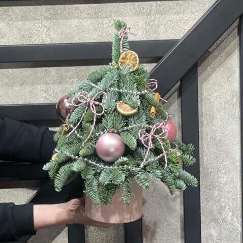 Елочка, артикул F1348685 - 9583 рублей, доставка по городу. Flawery - доставка цветов