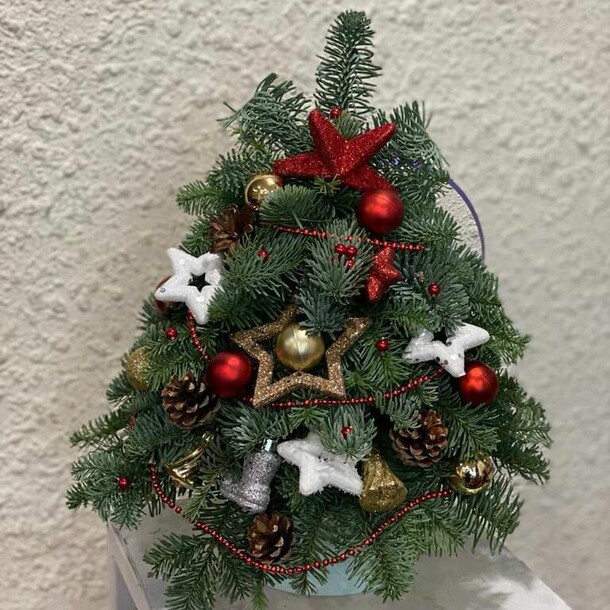 Новогодняя красота, артикул F1349227 - 22411 рублей, доставка по городу. Flawery - доставка цветов