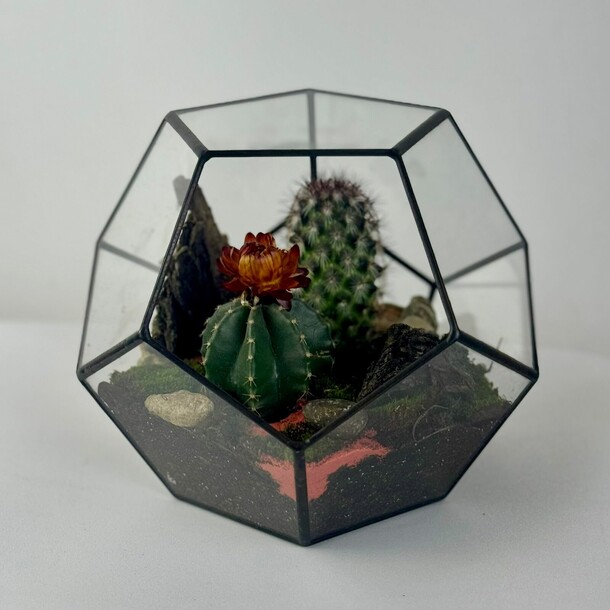 Флорариум "сахара", артикул F1372090 - 5800 рублей, доставка по городу. Flawery - доставка цветов