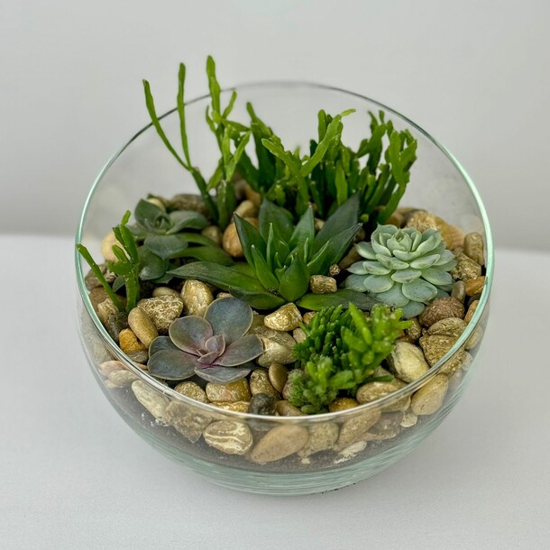 Флорариум "микс суккулентов", артикул F1372103 - 9900 рублей, доставка по городу. Flawery - доставка цветов