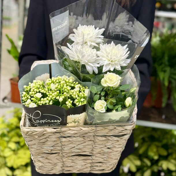 Микс в кашпо № 3, артикул F1422241 - 5100 рублей, доставка по городу. Flawery - доставка цветов