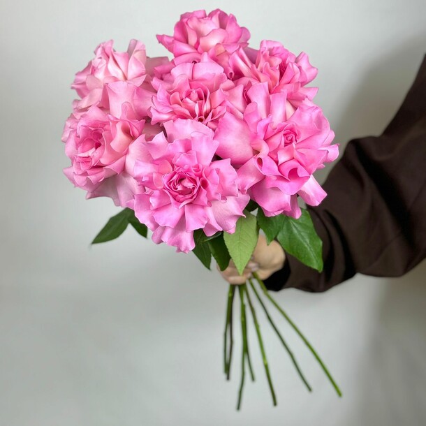 7 розовых французских роз, артикул F1434040 - 3751 рублей, доставка по городу. Flawery - доставка цветов