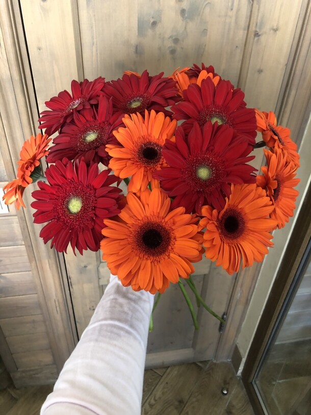 Букет из 15 гербер, артикул F40018 - 7016 рублей, доставка по городу. Flawery - доставка цветов