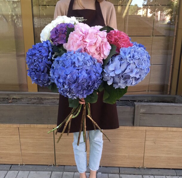 Букет из гортензий, артикул F61779 - 53328 рублей, доставка по городу. Flawery - доставка цветов