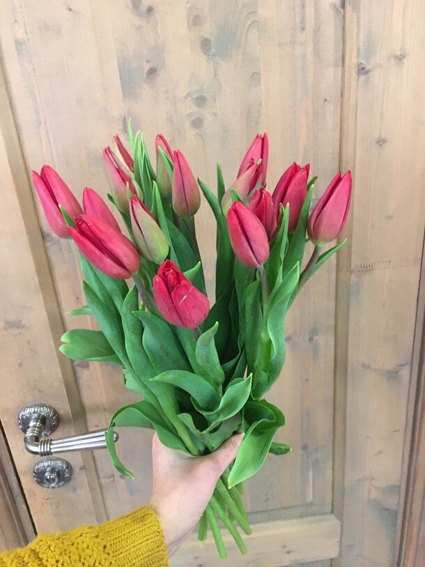 Тюльпан красный, артикул F72989 - 5635 рублей, доставка по городу. Flawery - доставка цветов