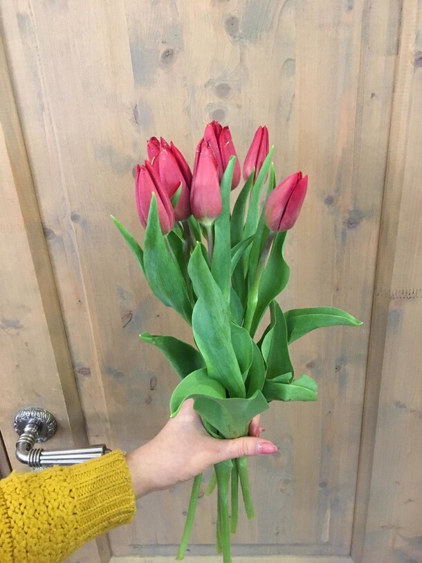 Тюльпаны 9 шт, артикул F72994 - 3703 рублей, доставка по городу. Flawery - доставка цветов