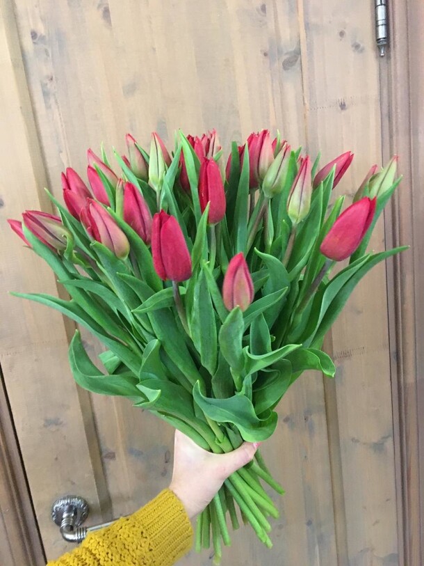 Красное небо, артикул F72998 - 14037 рублей, доставка по городу. Flawery - доставка цветов