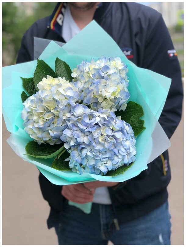 Три голубых гортензии, артикул F1388522 - 4500 рублей, доставка по городу. Flawery - доставка цветов