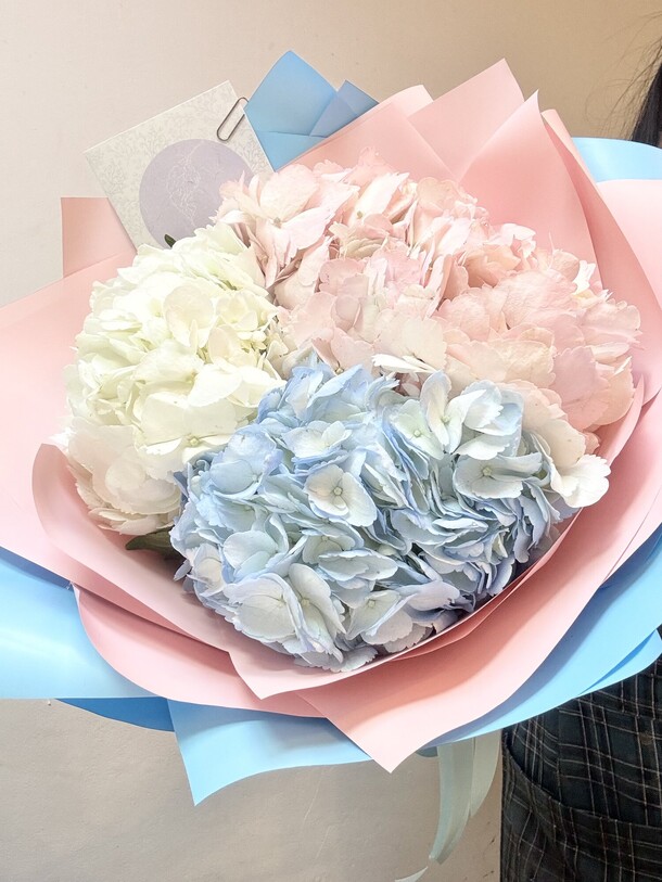 Разноцветные гортензии в оформлении, артикул F1433384 - 4200 рублей, доставка по городу. Flawery - доставка цветов