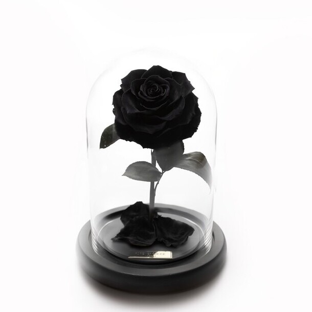 Черная «vip» роза в колбе в подарочной коробке- живет 5 лет. 29 см, артикул F1198521 - 5632 рублей, доставка по городу. Flawery - доставка цветов