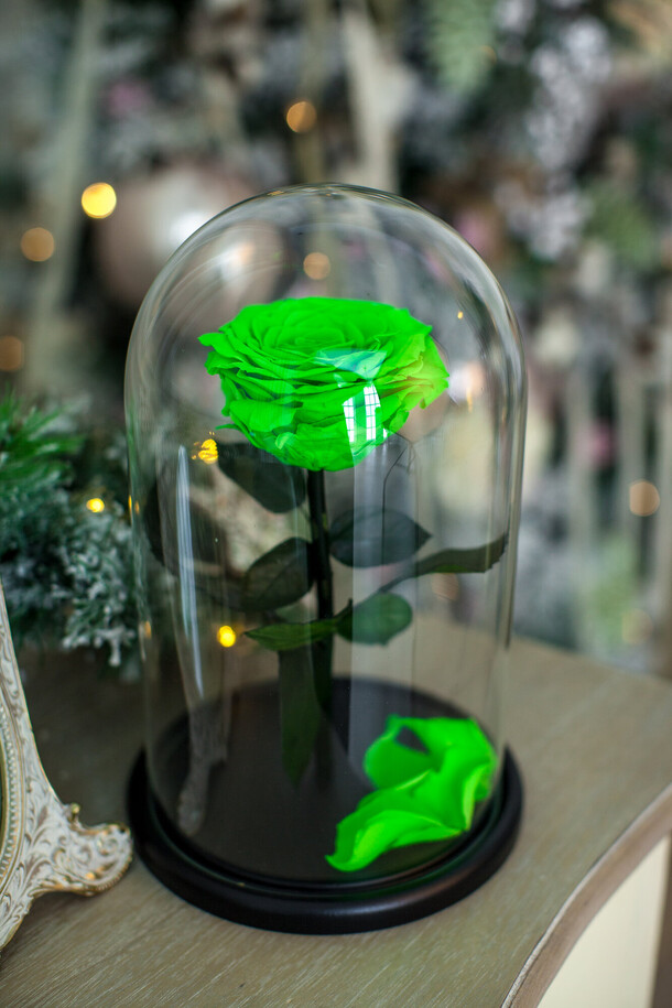 Салатовая «vip» роза в колбе в подарочной коробке- живет 5 лет. 29 см, артикул F1198745 - 5522 рублей, доставка по городу. Flawery - доставка цветов