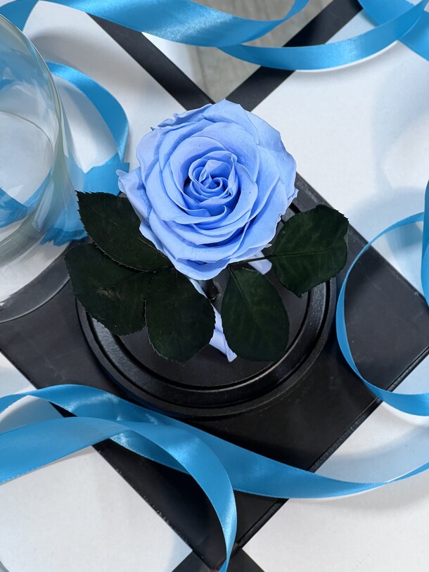 Голубая «мини» роза в колбе в подарочной коробке- живет 5 лет. 22 см, артикул F1198749 - 3652 рублей, доставка по городу. Flawery - доставка цветов