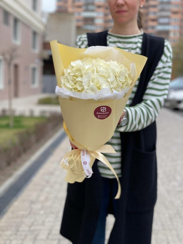 Гортензия, артикул F1200821 - 1800 рублей, доставка по городу. Flawery - доставка цветов