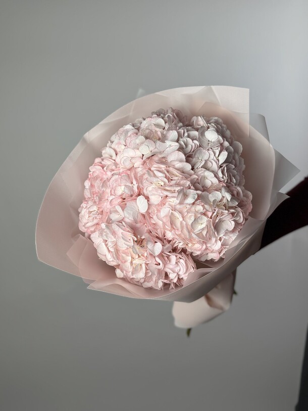 Букет из 5 гортензий 6463, артикул F1341173 - 4852 рублей, доставка по городу. Flawery - доставка цветов