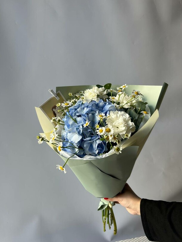 Гортензия воздушный поцелуй, артикул F1299541 - 2850 рублей, доставка по городу. Flawery - доставка цветов