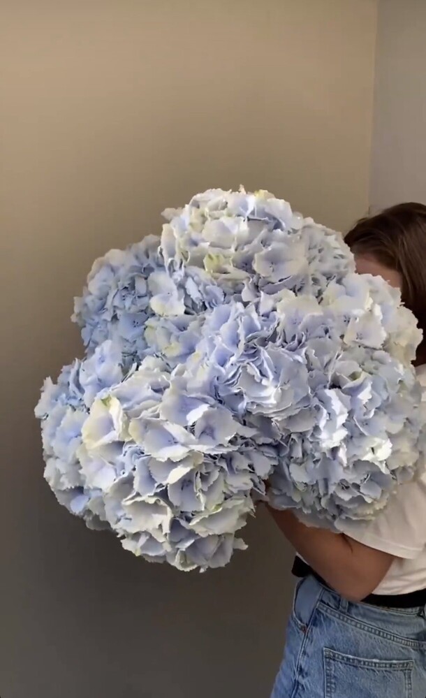 9 голубых гортензий, артикул F1204073 - 12200 рублей, доставка по городу. Flawery - доставка цветов