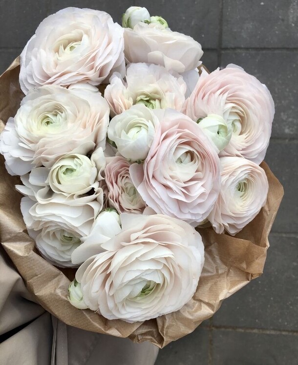 Клуни, артикул F1219214 - 11600 рублей, доставка по городу. Flawery - доставка цветов