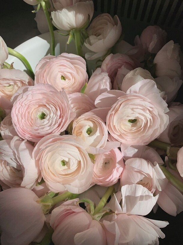 Элизабет, артикул F1219215 - 32300 рублей, доставка по городу. Flawery - доставка цветов