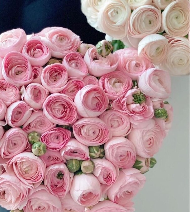 Дэйли, артикул F1220227 - 48900 рублей, доставка по городу. Flawery - доставка цветов