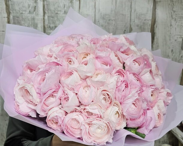 Ранункулюс 77, артикул F1269656 - 84200 рублей, доставка по городу. Flawery - доставка цветов