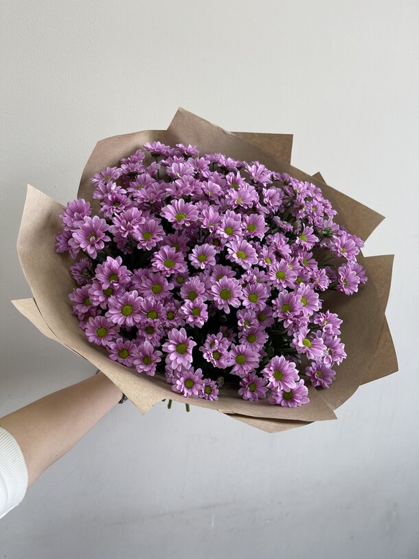 Сантини, артикул F1273163 - 7300 рублей, доставка по городу. Flawery - доставка цветов