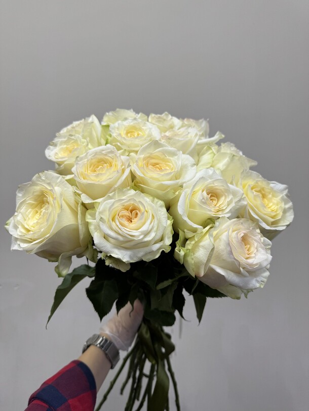 Премиальная роза кендилайт, артикул F1388060 - 8555 рублей, доставка по городу. Flawery - доставка цветов