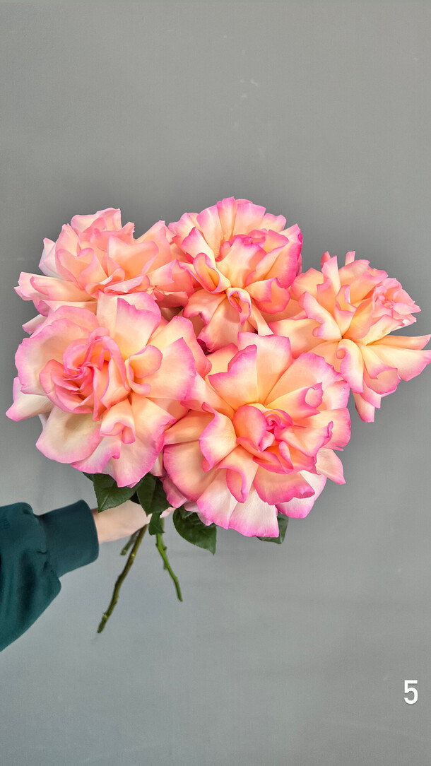 Французские розы, артикул F1320210 - 2686 рублей, доставка по городу. Flawery - доставка цветов