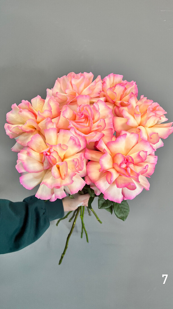 Французские розы, артикул F1320215 - 3760 рублей, доставка по городу. Flawery - доставка цветов