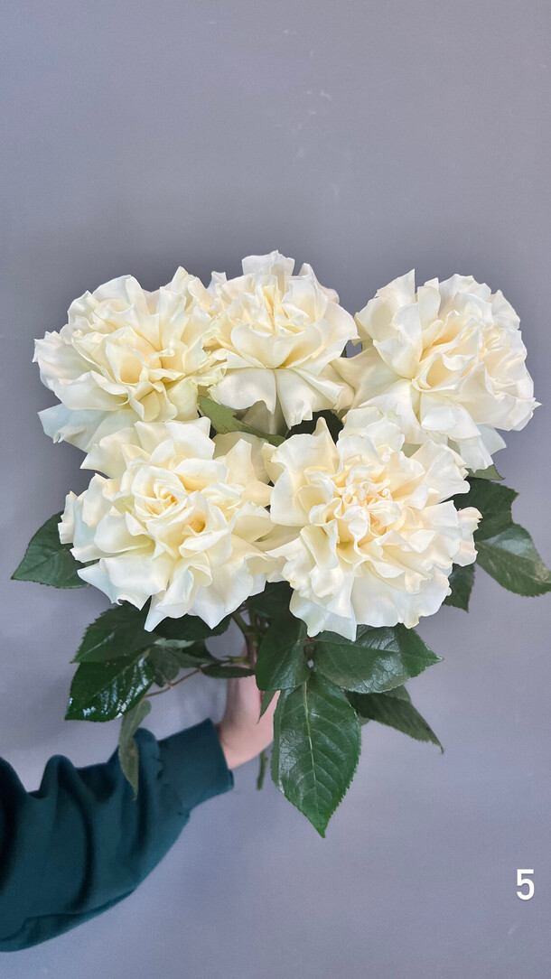 Французские розы, артикул F1320231 - 2686 рублей, доставка по городу. Flawery - доставка цветов