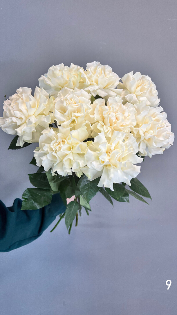 Французские розы, артикул F1320243 - 4835 рублей, доставка по городу. Flawery - доставка цветов