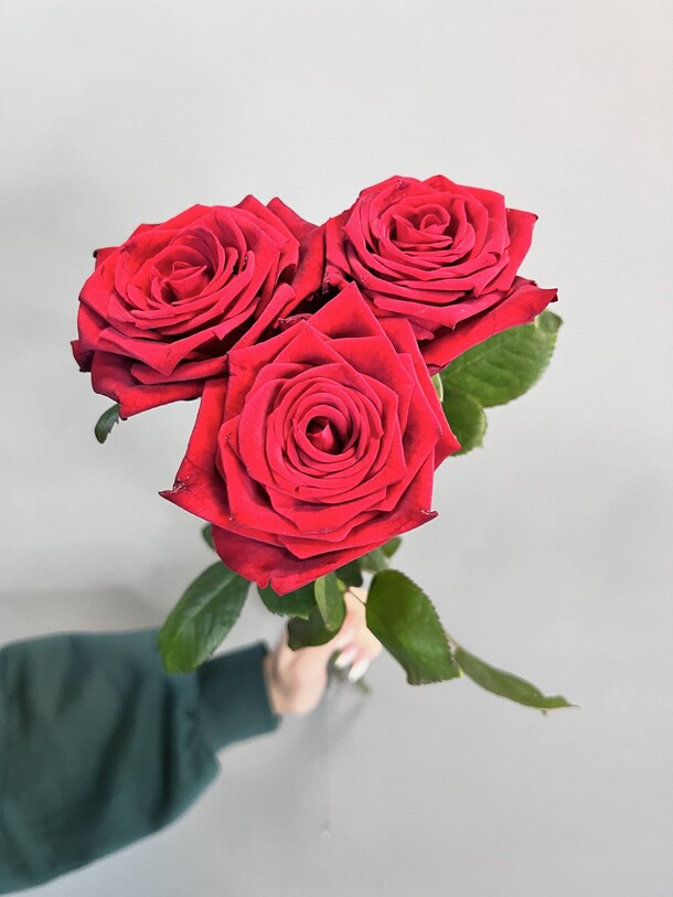 Классические розы, артикул F1320254 - 1323 рублей, доставка по городу. Flawery - доставка цветов