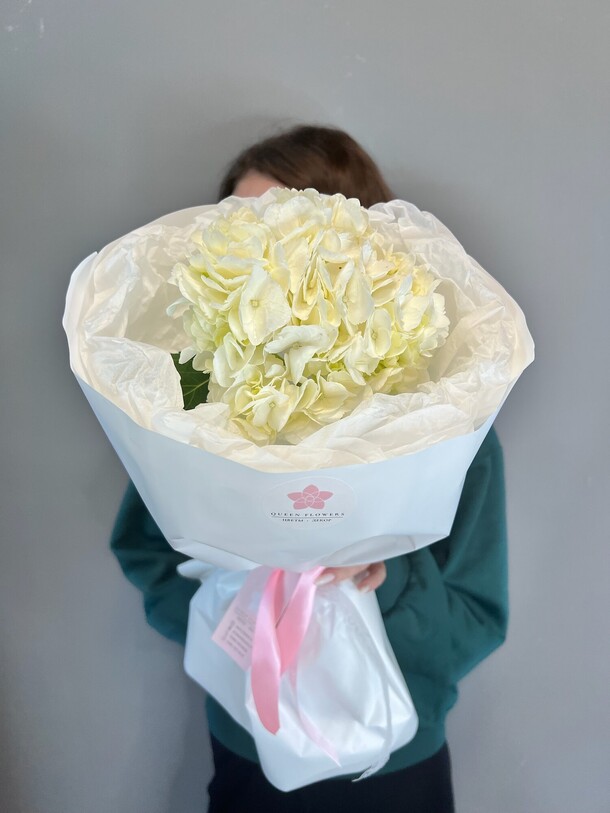 Гортензия в красивой упаковке, артикул F1323848 - 1240 рублей, доставка по городу. Flawery - доставка цветов