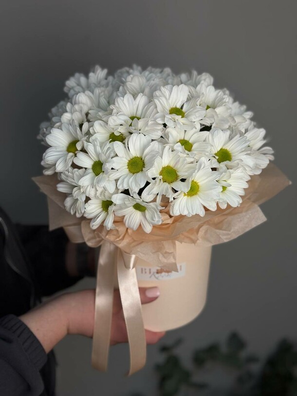 Композиция с ромашками, артикул F1227766 - 2580 рублей, доставка по городу. Flawery - доставка цветов