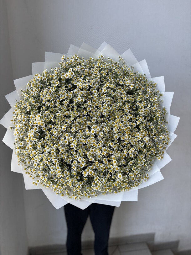 Букет из 75 ромашек, артикул F1421915 - 17490 рублей, доставка по городу. Flawery - доставка цветов