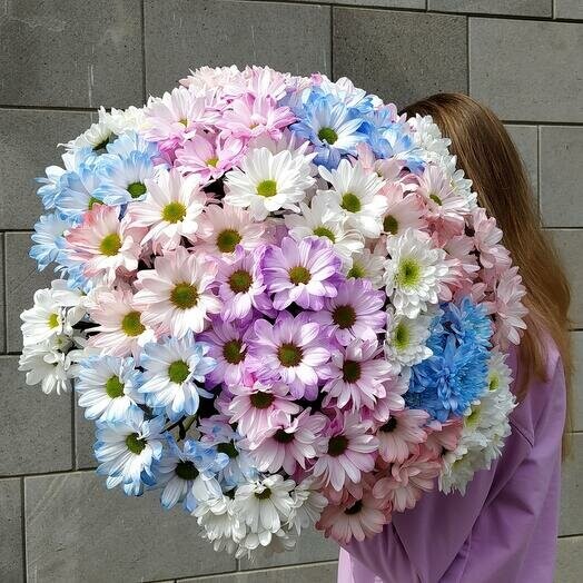 Букет 19 ромашковых хризантем под ленту, артикул F1417469 - 8000 рублей, доставка по городу. Flawery - доставка цветов