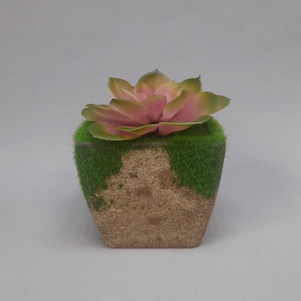 Искусственный суккулент, артикул F1449211 - 770 рублей, доставка по городу. Flawery - доставка цветов