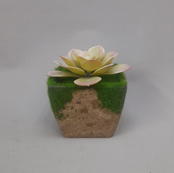 Эчеверия искусственная, артикул F1449248 - 770 рублей, доставка по городу. Flawery - доставка цветов